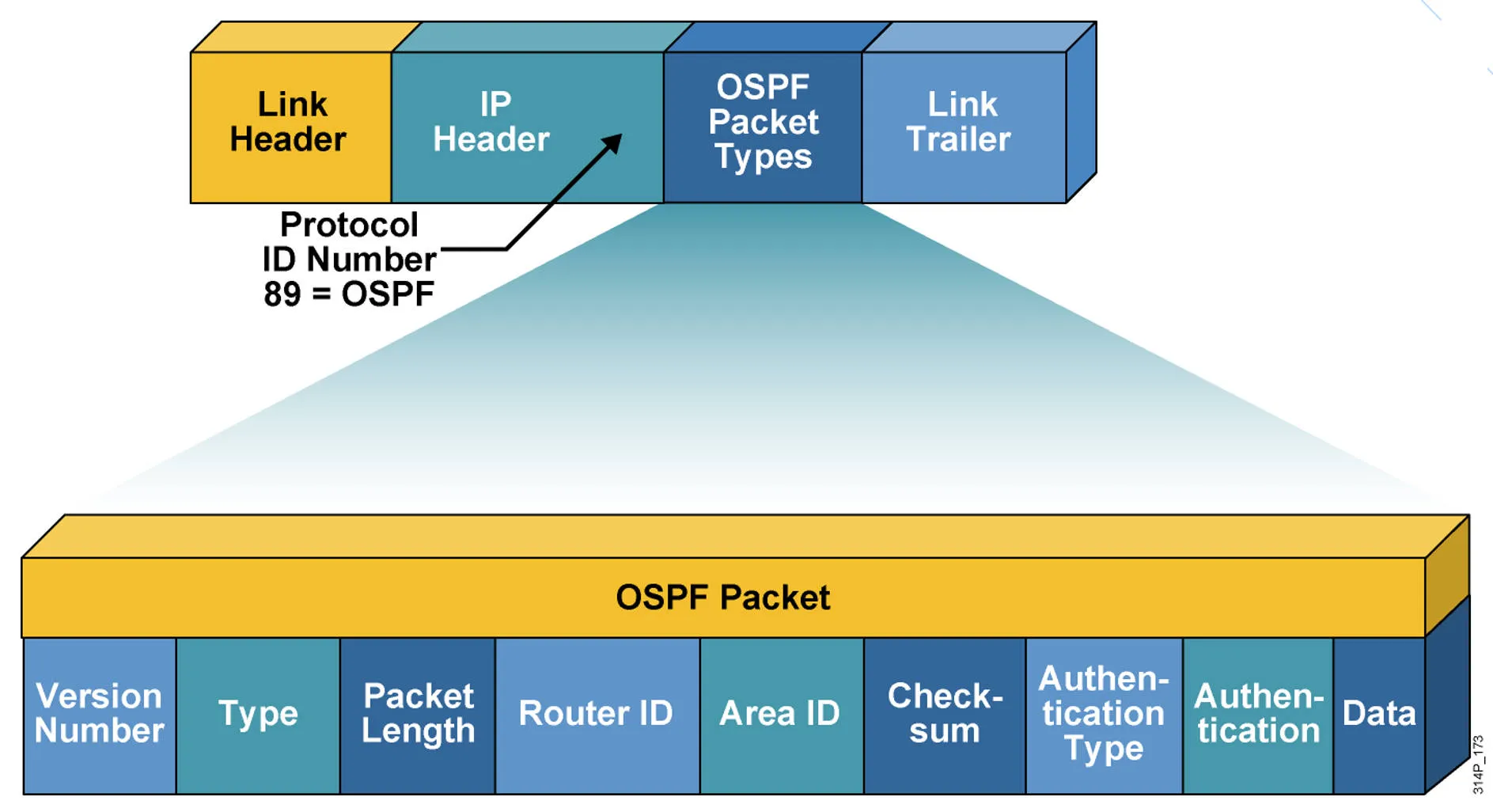 ospf7.jpeg