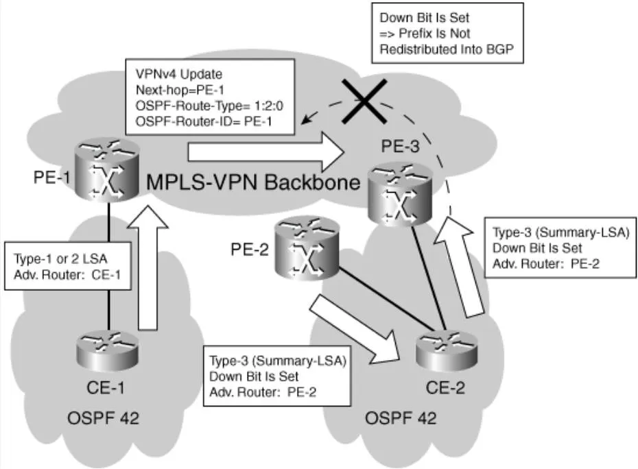 ospf307.jpeg