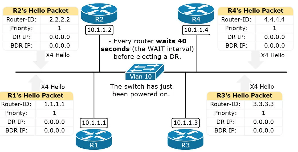 ospf217.jpeg