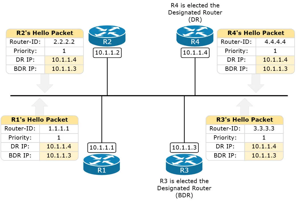 ospf219.jpeg